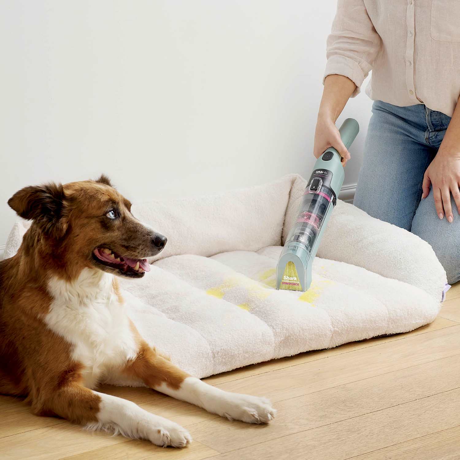 Cleanyva® StainForce™ Cordless Lightweight Spot & Spill Cleaner